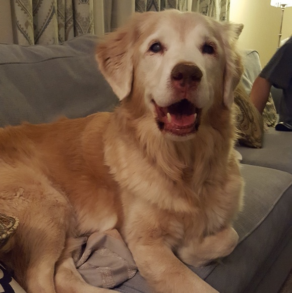 Meet your Posher, Andrea - Picture 1 of 3